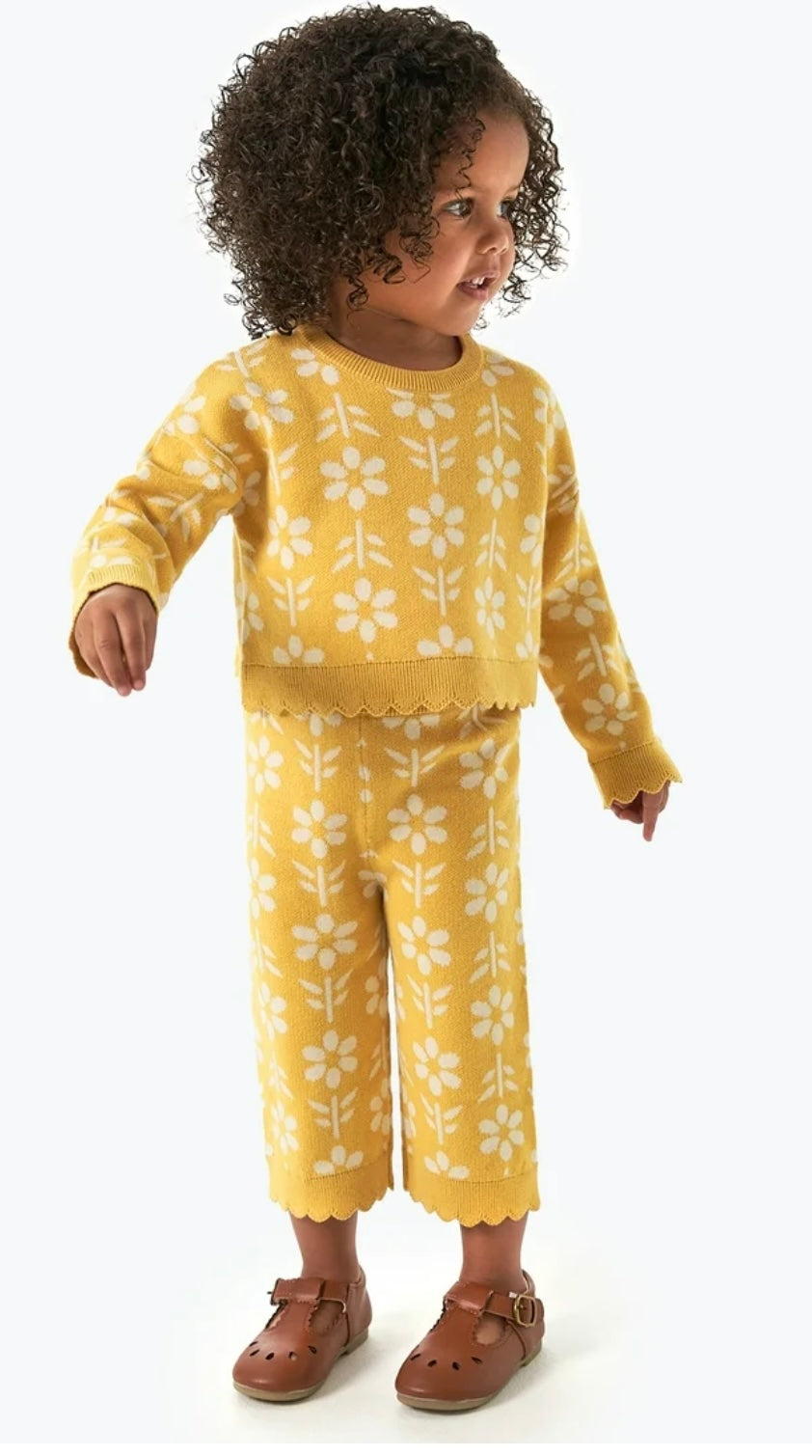 Conjunto de Flores Amarillo Modern Moments