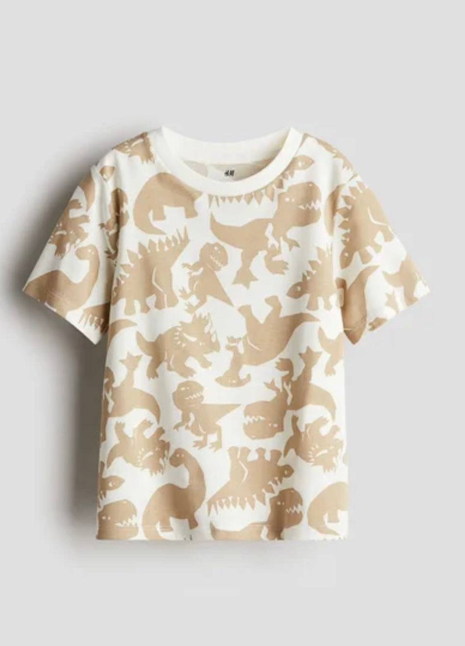Franela Dinosaurio H&M
